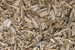 biomass boilers Pilleth